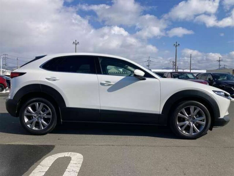 CX-30