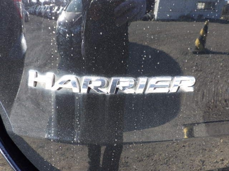 HARRIER