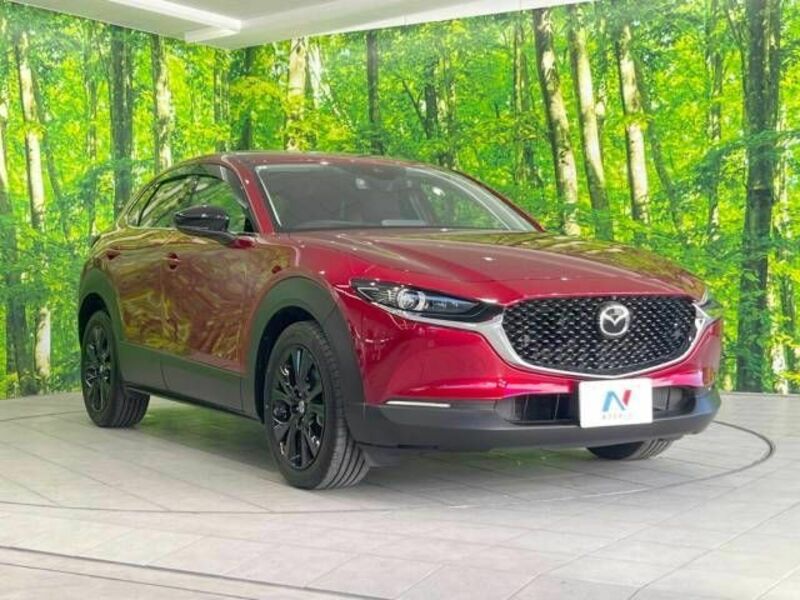 CX-30