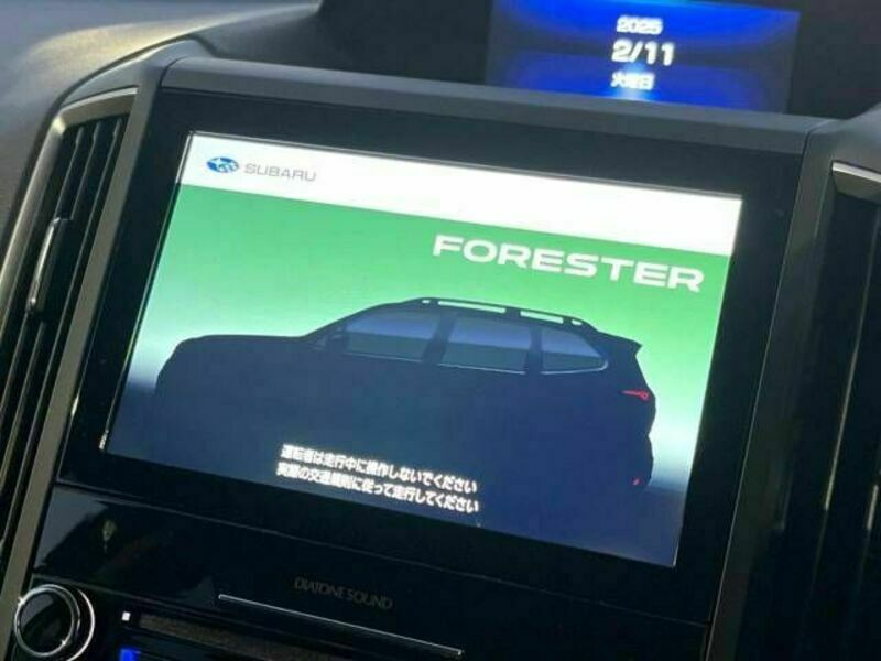 FORESTER