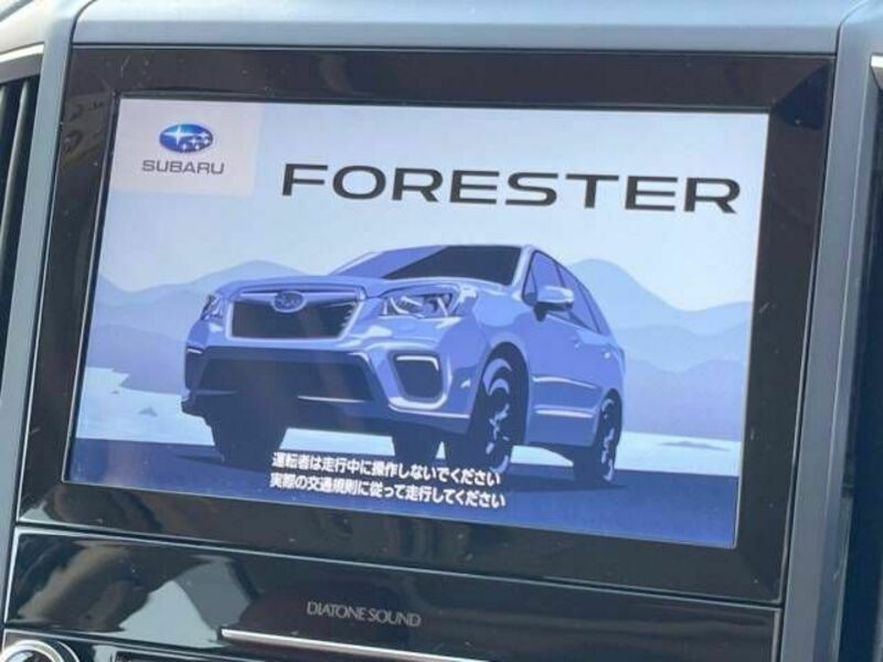 FORESTER