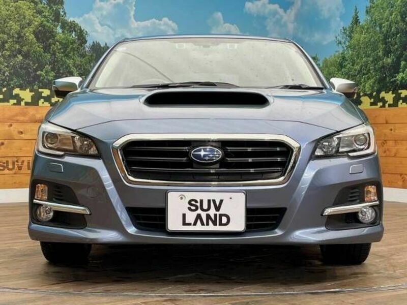 LEVORG