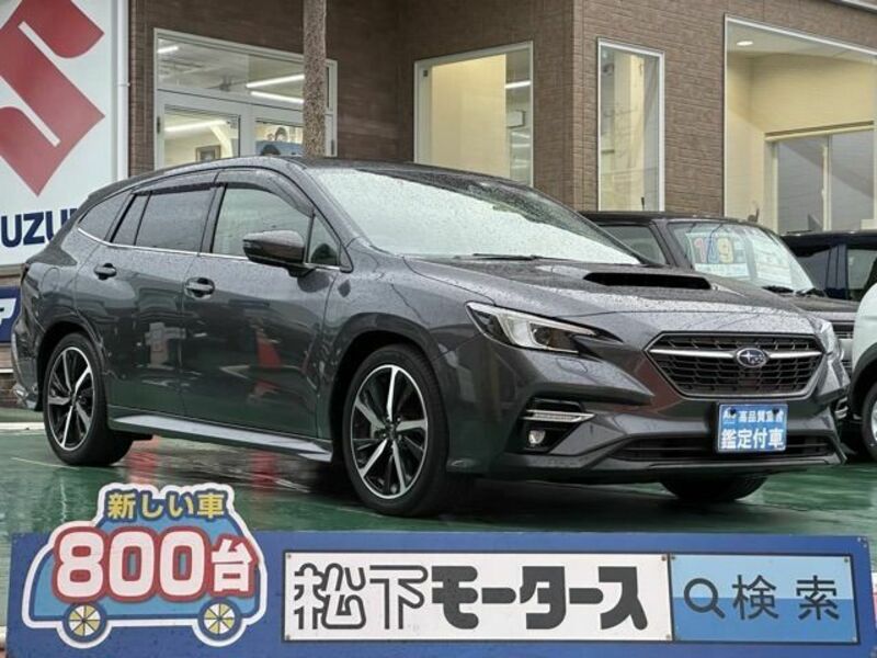 LEVORG-0