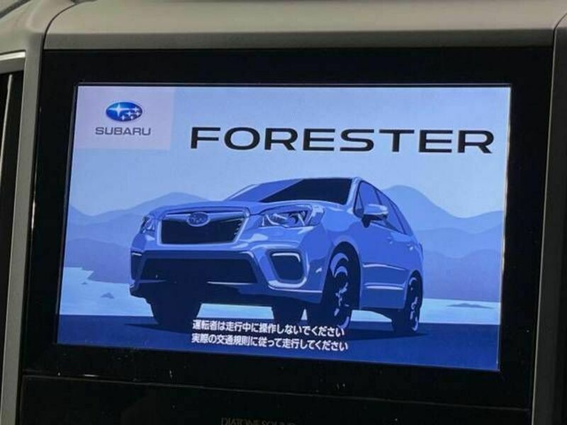 FORESTER