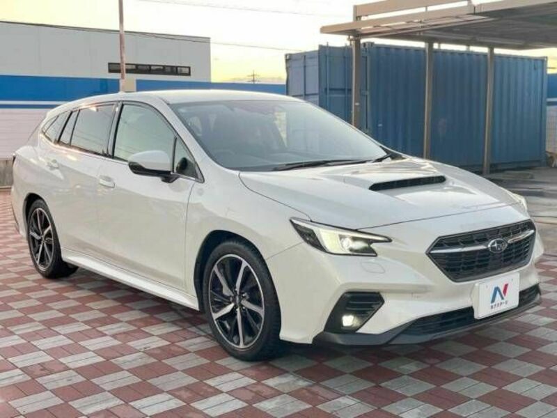 LEVORG