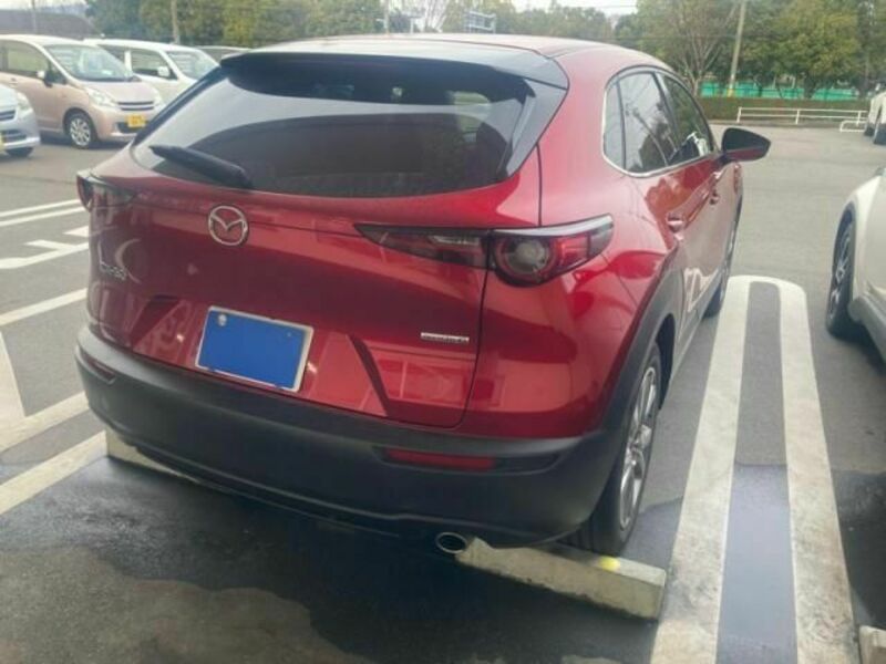 CX-30