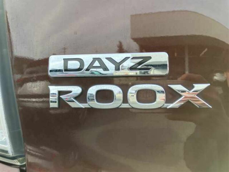 DAYZ ROOX