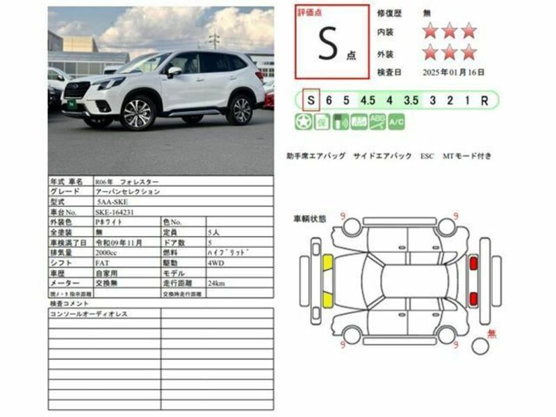 FORESTER