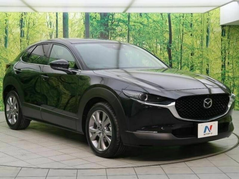 CX-30