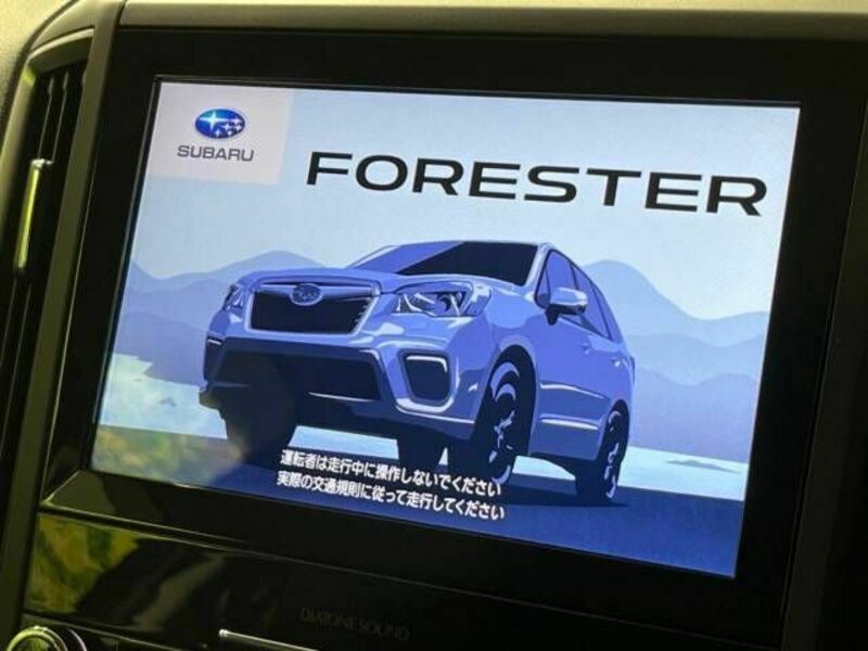 FORESTER