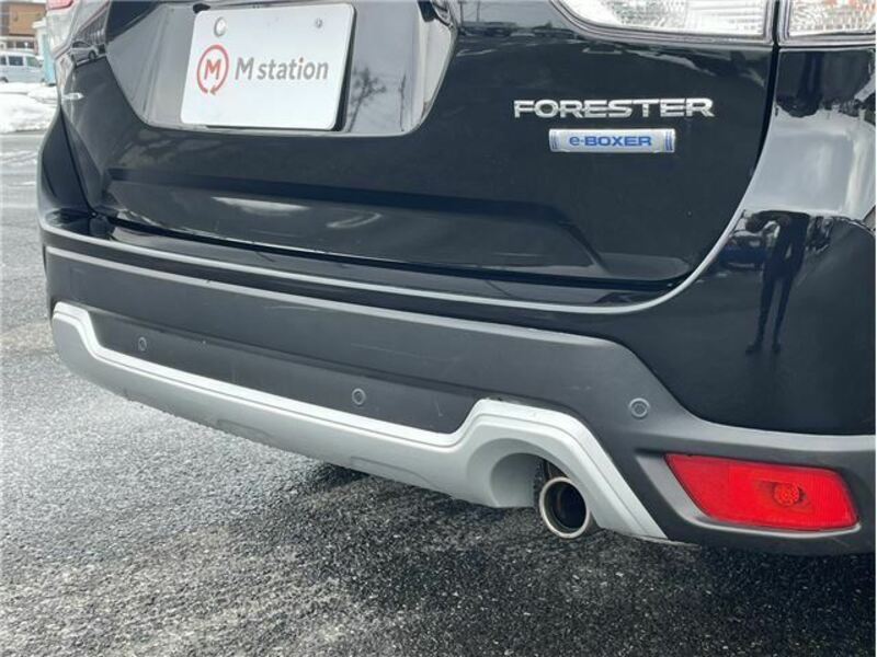 FORESTER