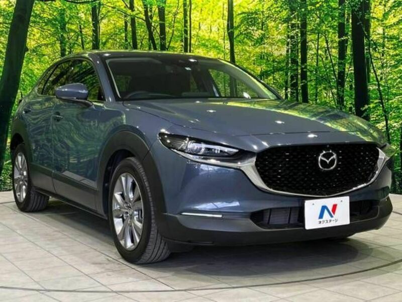 CX-30