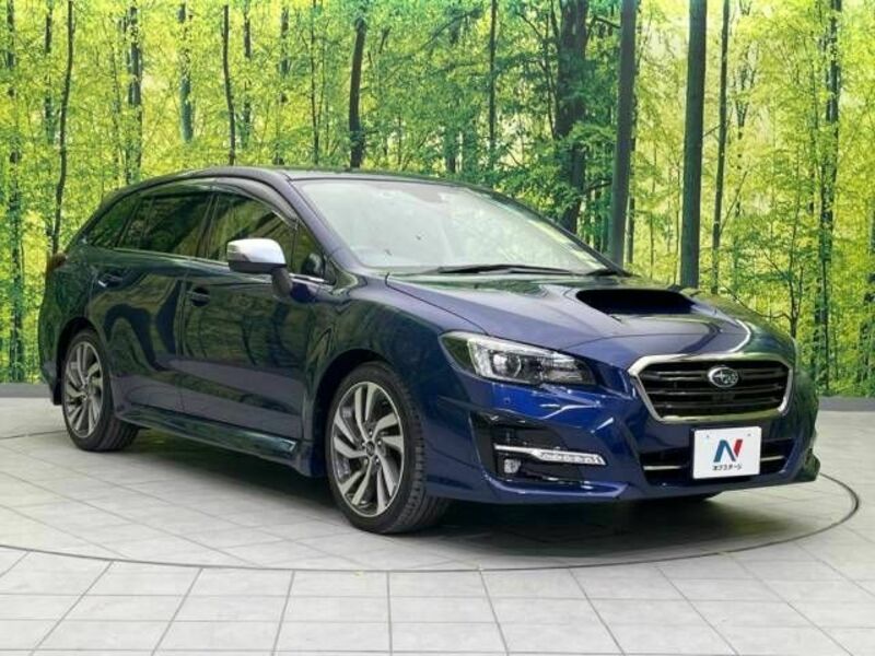 LEVORG