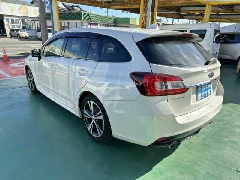 LEVORG