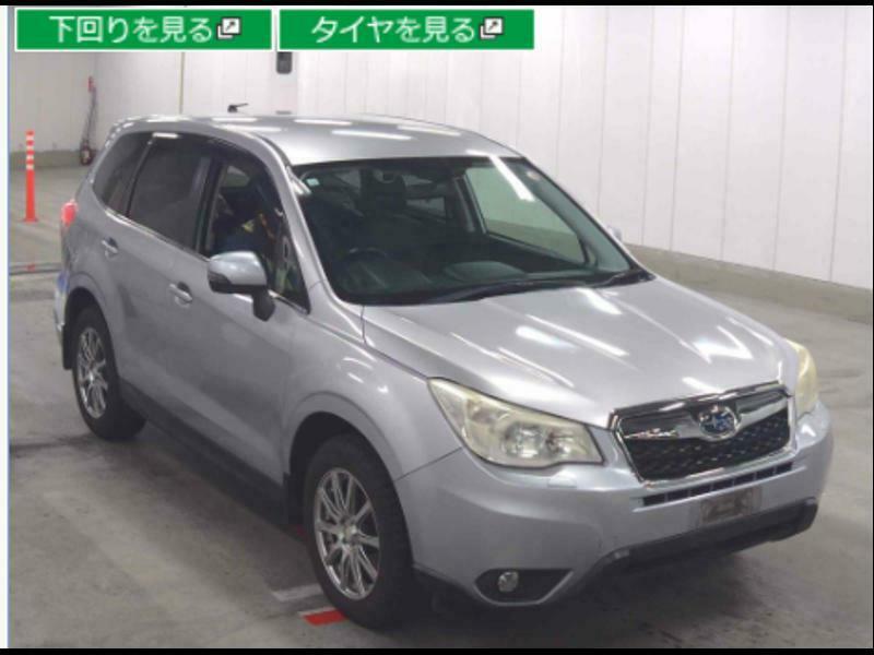 FORESTER