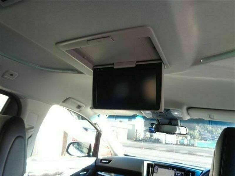 ALPHARD-9