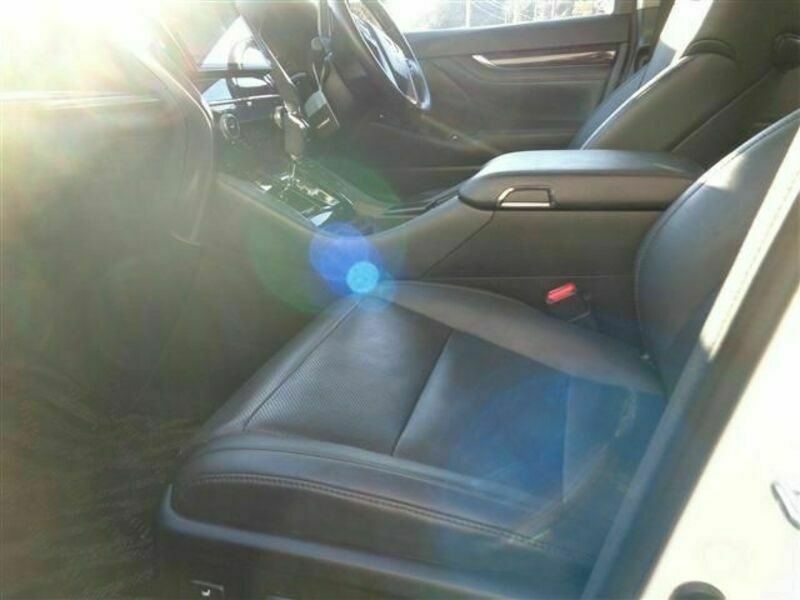 ALPHARD-11