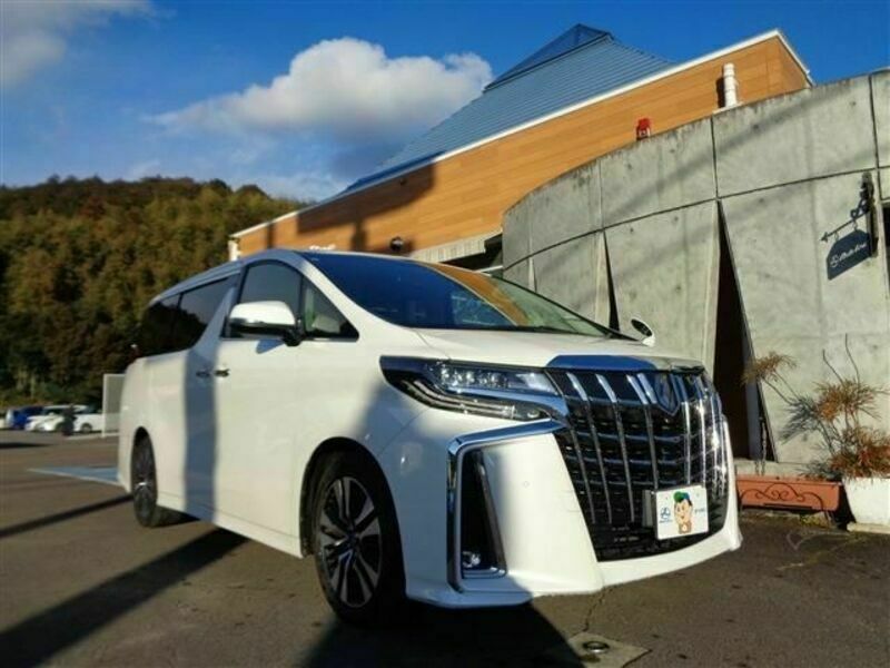 ALPHARD-21