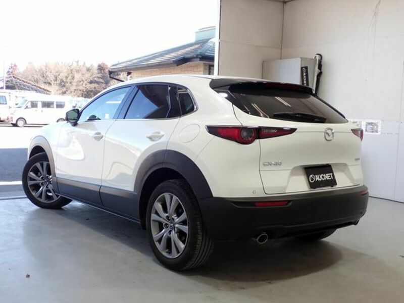 CX-30