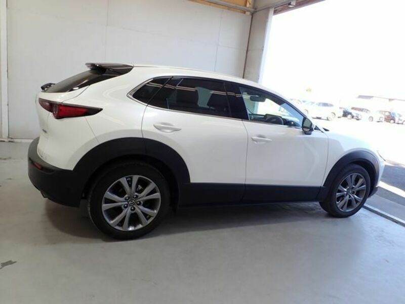 CX-30