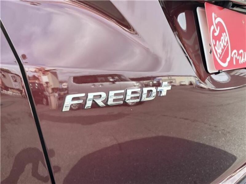 FREED+