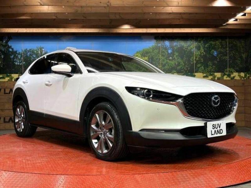 CX-30