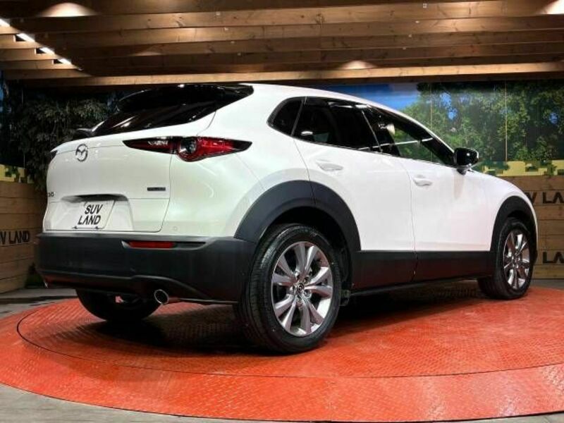 CX-30