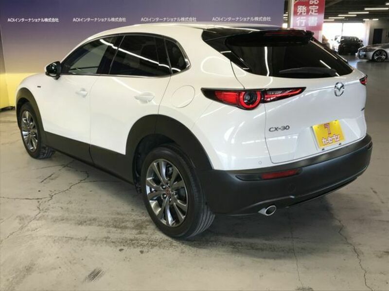 CX-30