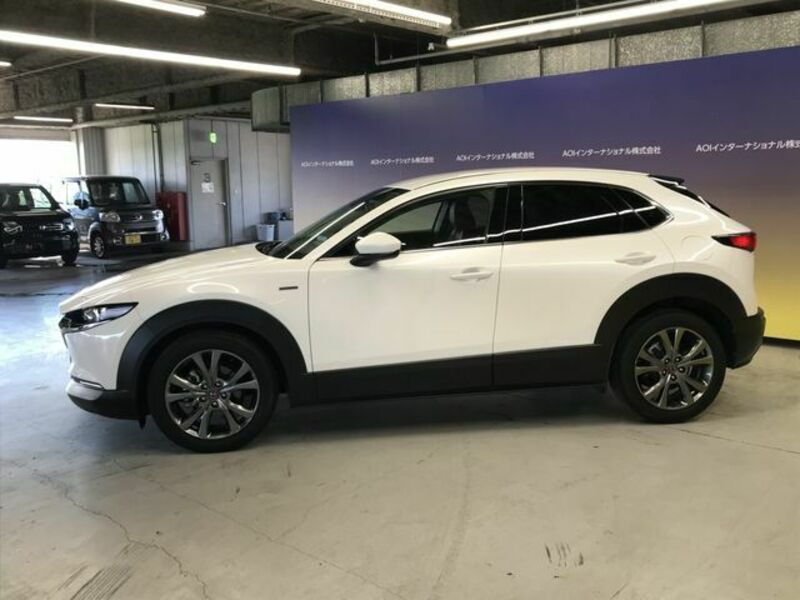 CX-30