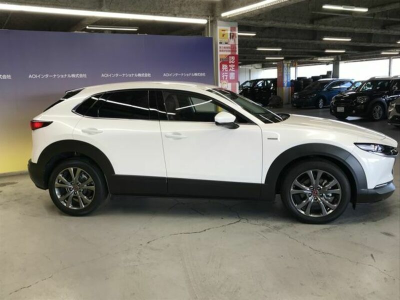 CX-30