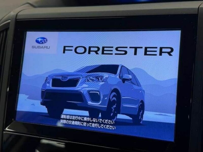 FORESTER