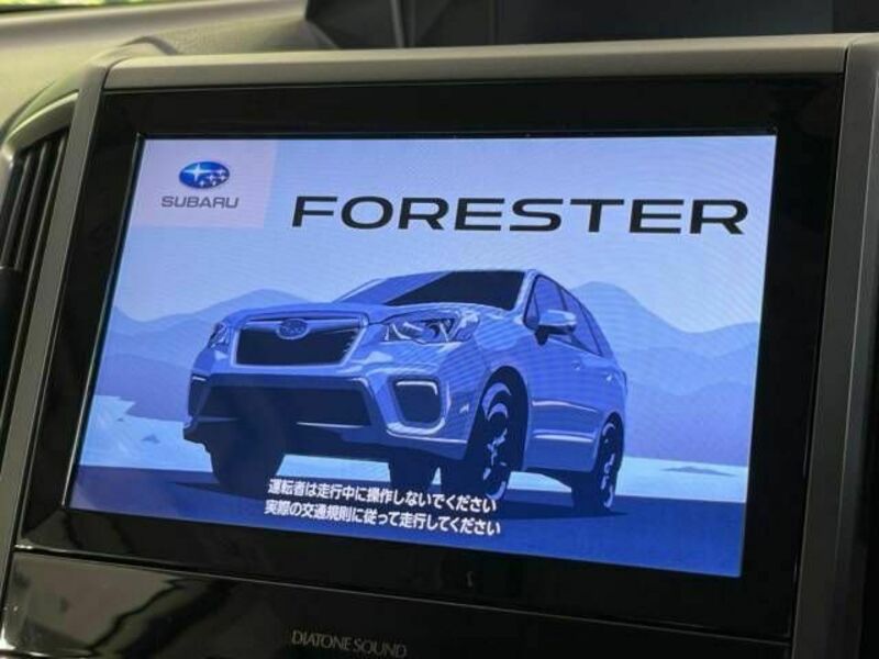 FORESTER