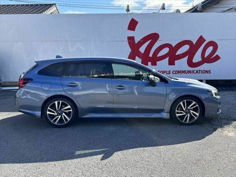 LEVORG