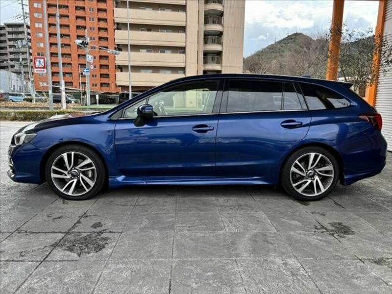 LEVORG