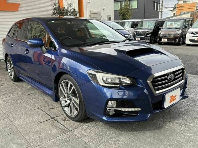 LEVORG