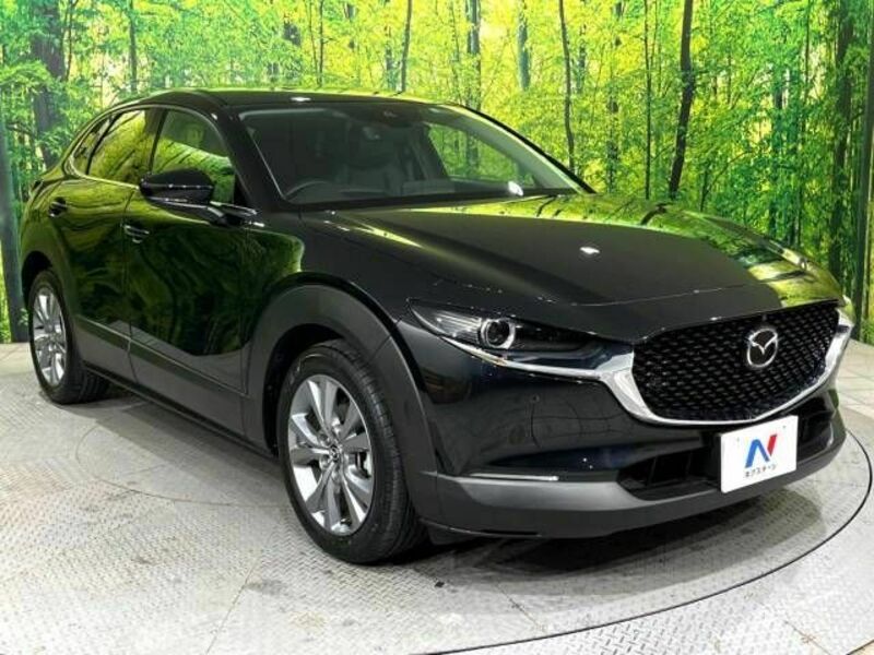 CX-30