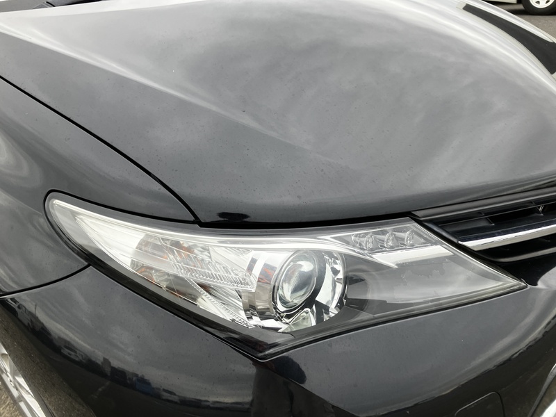 AURIS