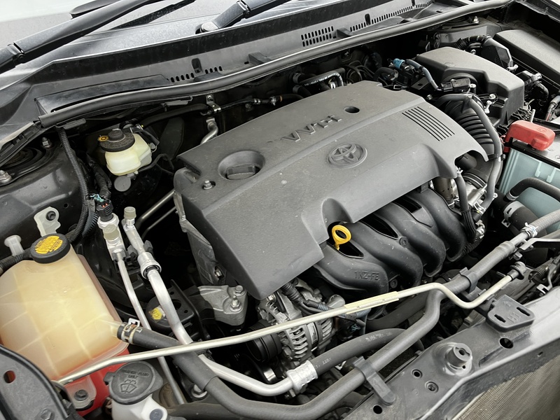 AURIS