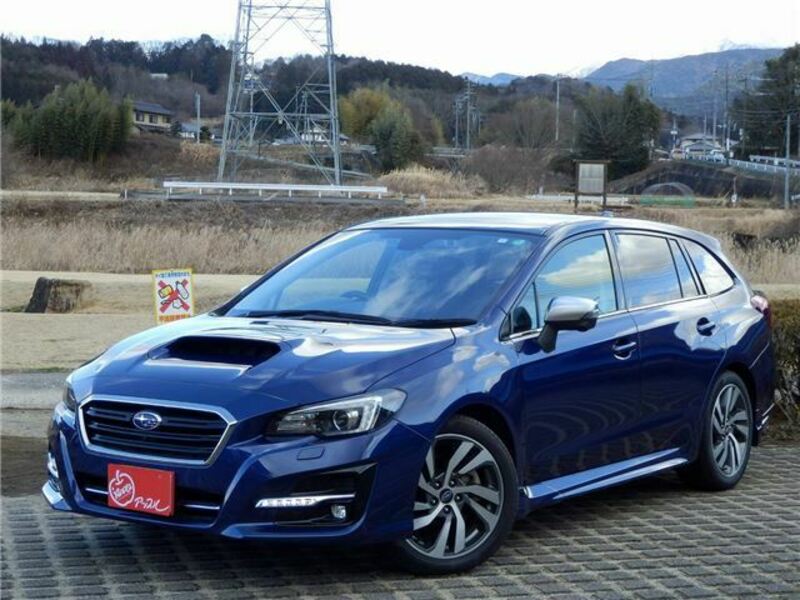 LEVORG-0