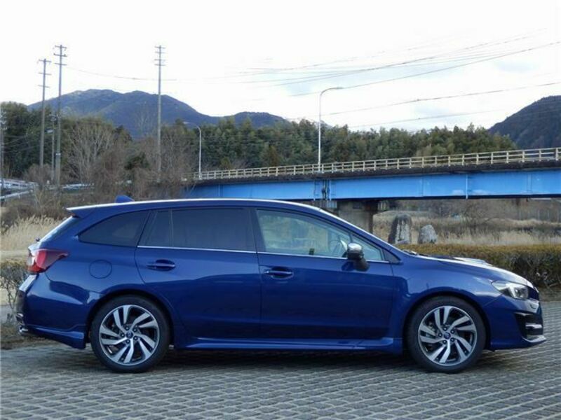 LEVORG