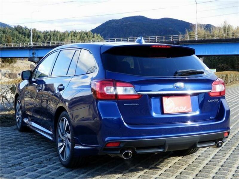 LEVORG