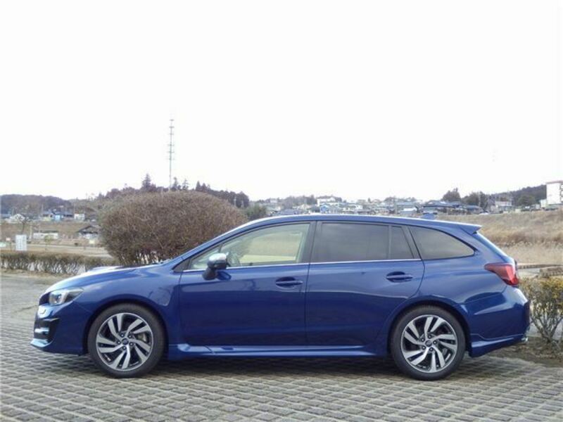 LEVORG