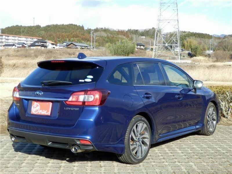 LEVORG