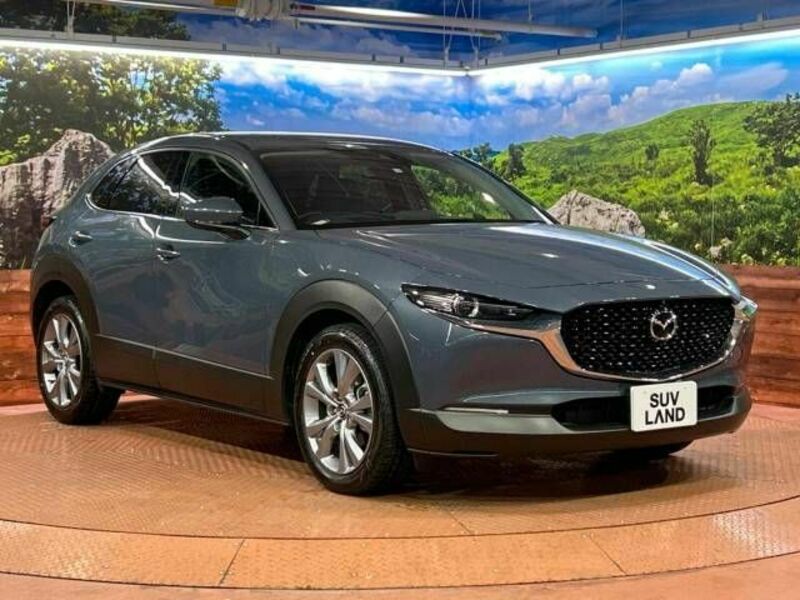 CX-30