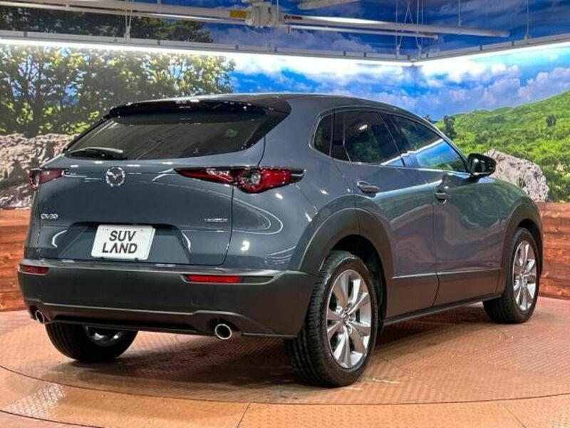 CX-30