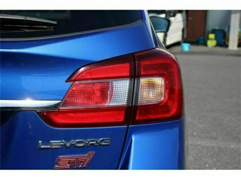 LEVORG