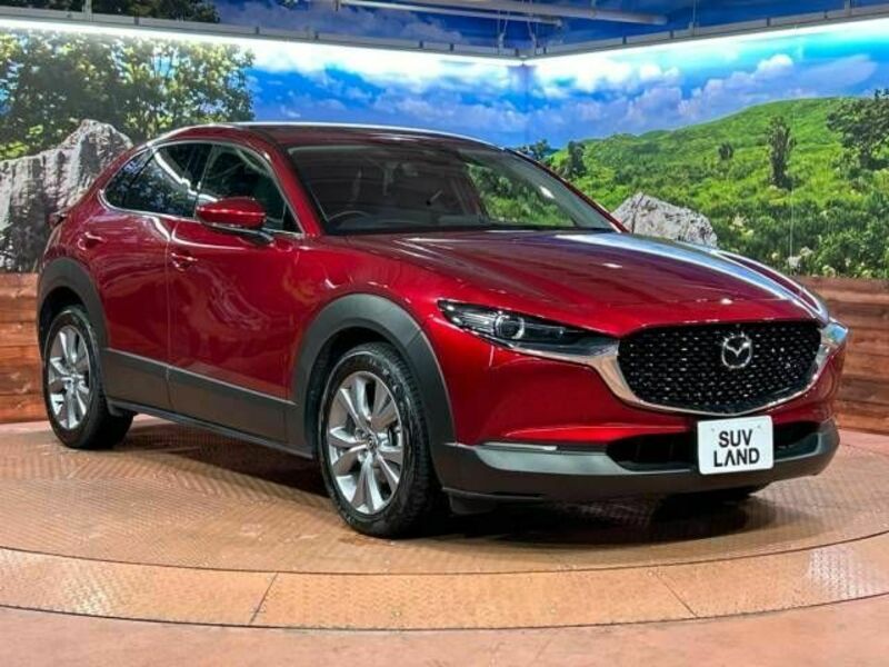 CX-30