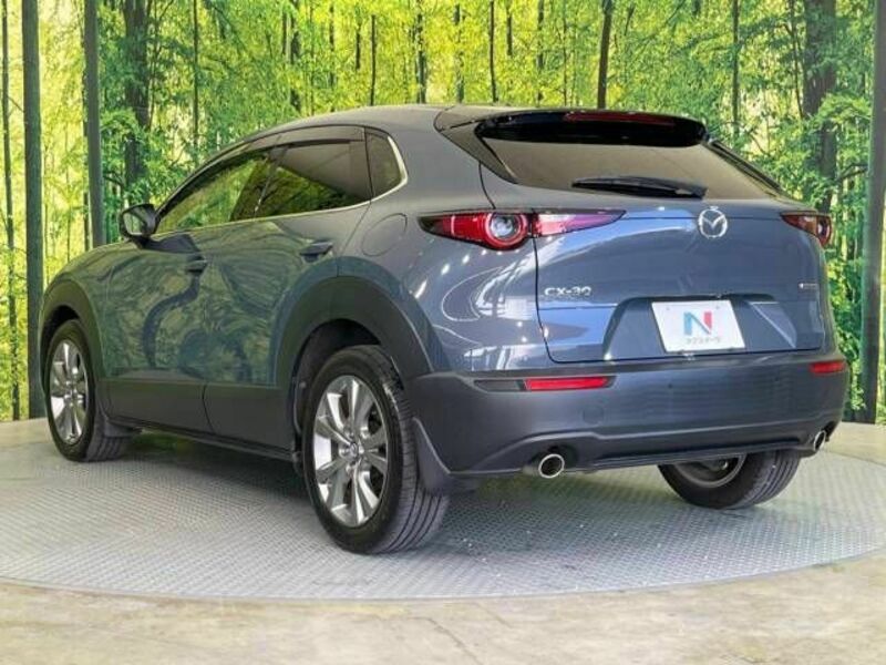 CX-30