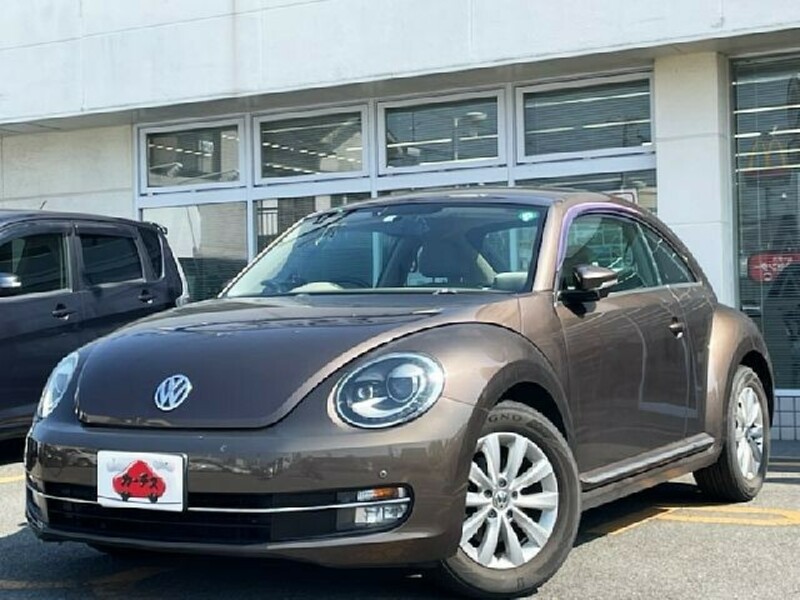 VOLKSWAGEN THE BEETLE