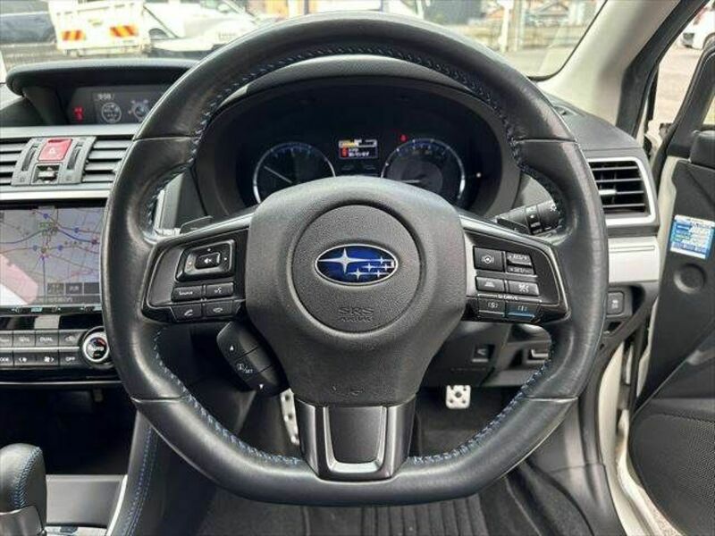 LEVORG